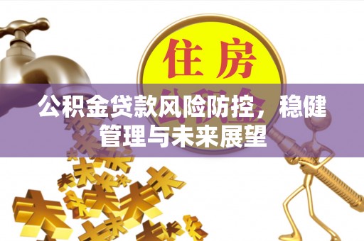 安南公积金贷款风险防控，稳健管理与未来展望