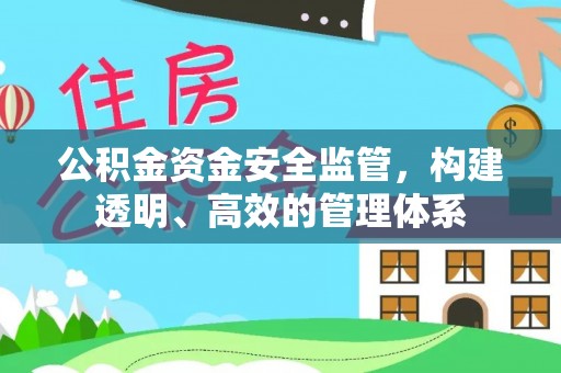 安南公积金资金安全监管，构建透明、高效的管理体系