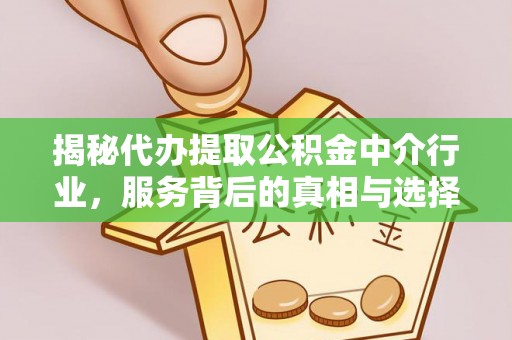 安南揭秘代办提取公积金中介行业，服务背后的真相与选择指南