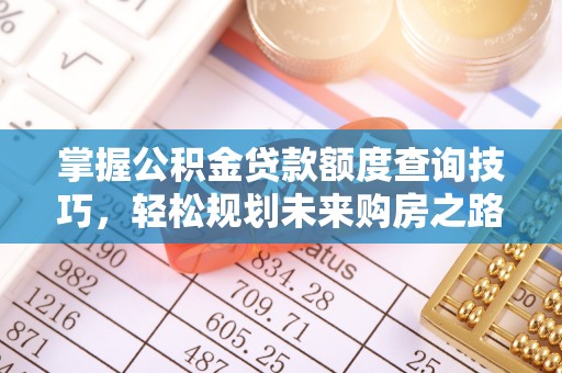 安南掌握公积金贷款额度查询技巧，轻松规划未来购房之路