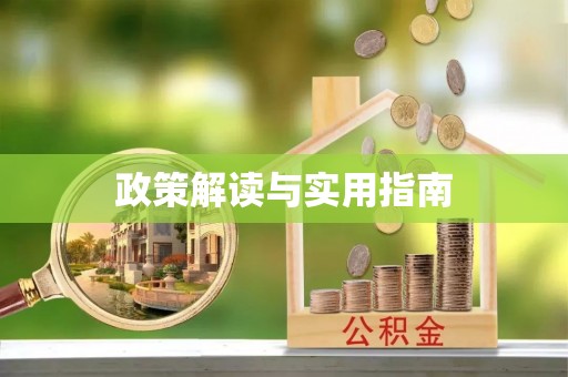 安南政策解读与实用指南