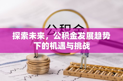 安南探索未来，公积金发展趋势下的机遇与挑战