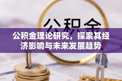 安南公积金理论研究，探索其经济影响与未来发展趋势