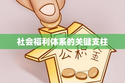 安南社会福利体系的关键支柱