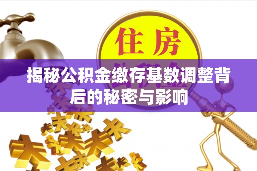 安南揭秘公积金缴存基数调整背后的秘密与影响