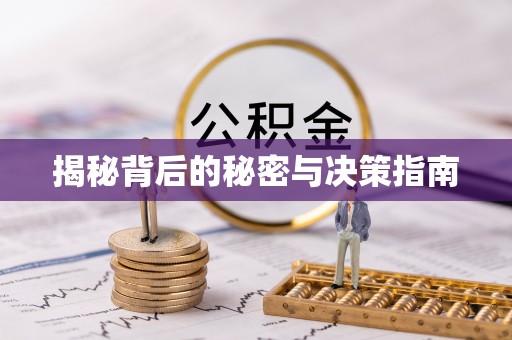 安南揭秘背后的秘密与决策指南