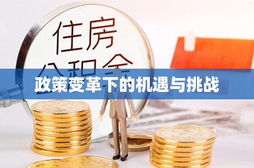 安南政策变革下的机遇与挑战