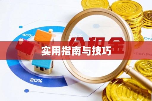 安南实用指南与技巧