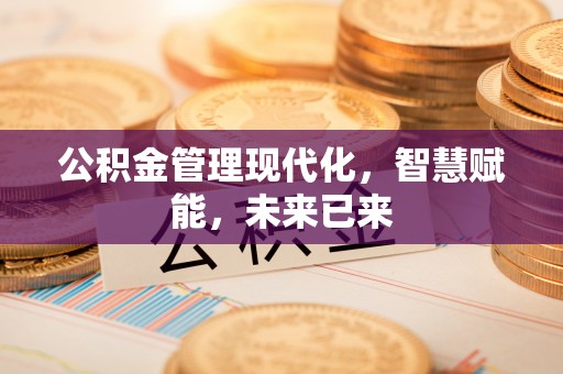 安南公积金管理现代化，智慧赋能，未来已来