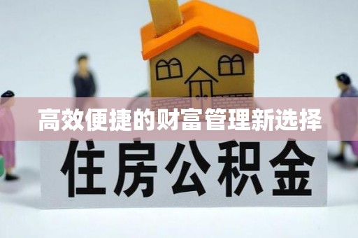 安南高效便捷的财富管理新选择