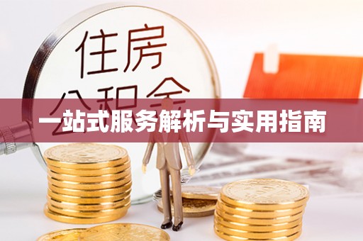 安南一站式服务解析与实用指南
