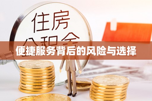 安南便捷服务背后的风险与选择