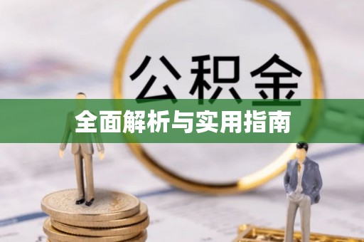 安南全面解析与实用指南