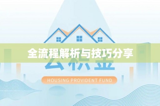 安南全流程解析与技巧分享