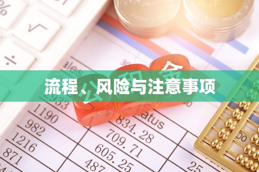 安南流程、风险与注意事项