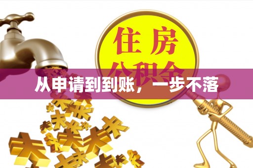 安南从申请到到账，一步不落